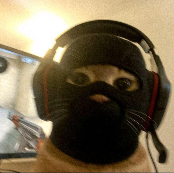 “I upgraded to the $899 plan and that’s when things really clicked. Better content, better hooks, better results.” — Tyler B., 24